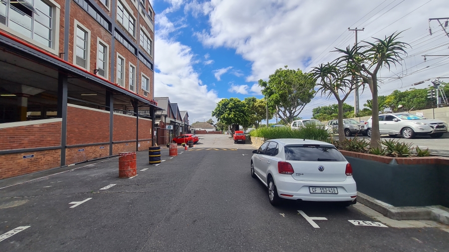 To Let commercial Property for Rent in Observatory Western Cape